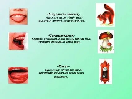 Үш адамға арналған хатшы порно
