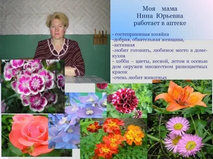 Саженцы мир увлечений