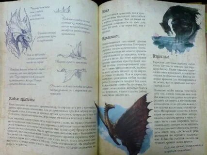 Маленькая книга драконов