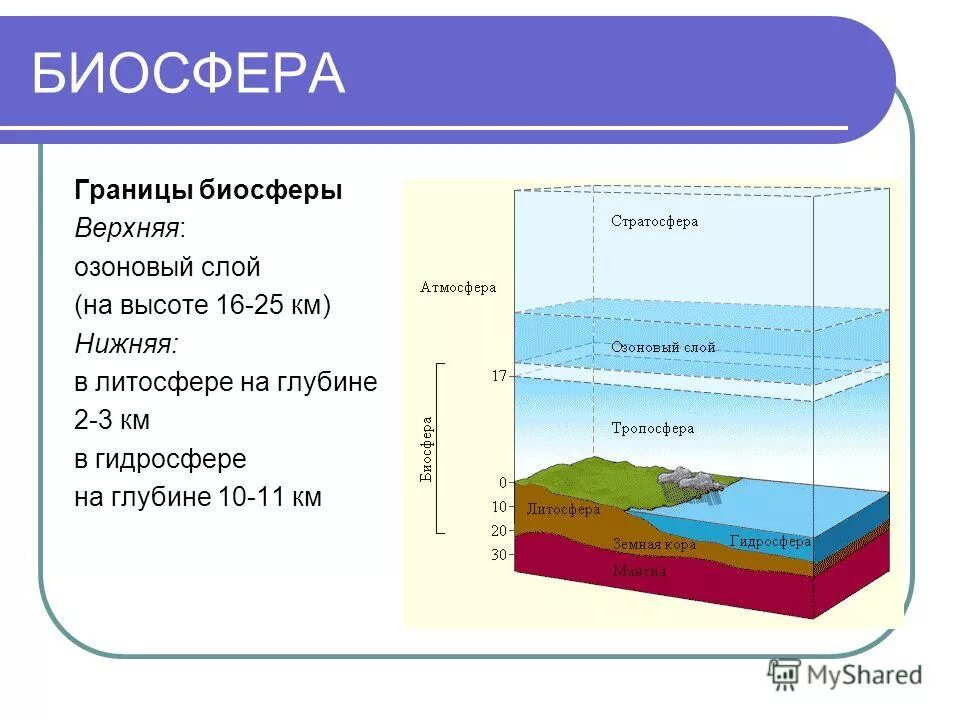 Гидросфера границы биосферы нижняя граница. Границы биосферы в гидросфере. Границы биосферы верхняя нижняя средняя. Верхняя граница биосферы расположена. Биосфера и ее границы.