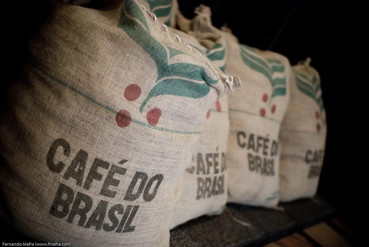 Какао и кофе в бразилии. A lot of coffee in brazil. Кофейные плантации в бразилии. Фон кофе бразилия. Кофе бразилия арабика.