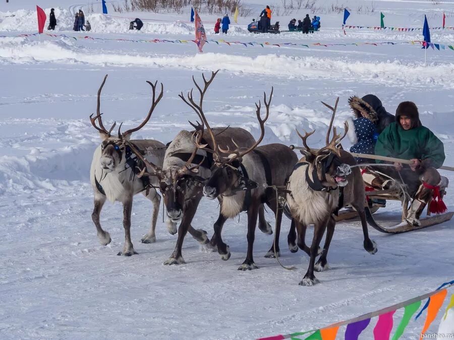 Праздник народов севера новый Уренгой 2023 году. Праздник городов севера.