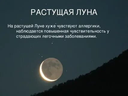 Молодой месяц что делают