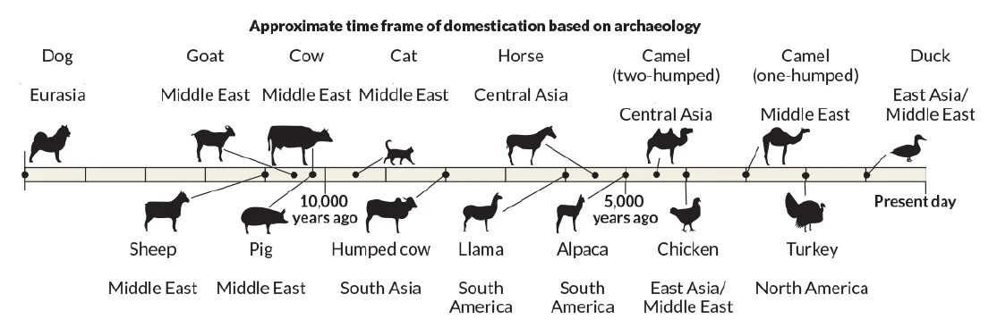 Animal data. Domestication of animals. Domestication. Domesticated animals. Таблица animals Plants.