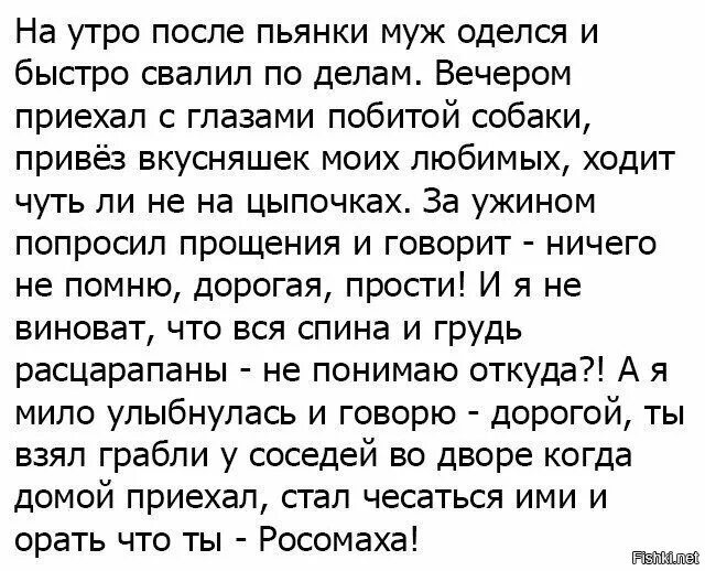 Сонник муж подруги. Извинения после пьянки. Утром после пьянки. Извинение перед женой после пьянки. Пожелания после пьянки на утро.