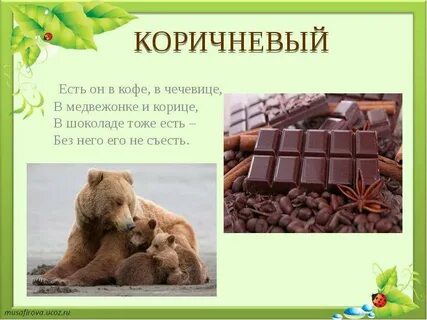 Слова коричневого цвета