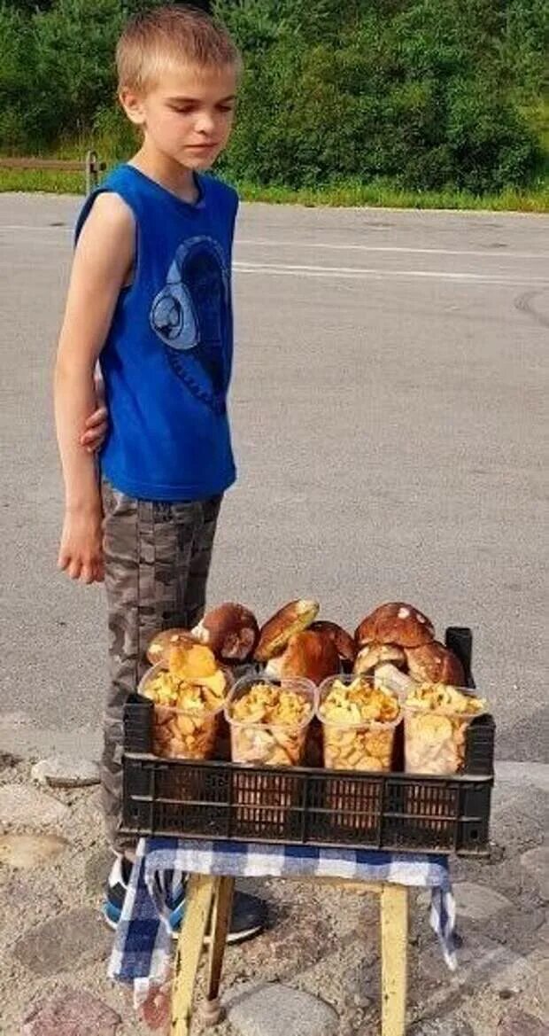 Продается мальчик. Мальчик продает. Авито приколы объявления. Продается мальчик. Продают грибы на трассе.