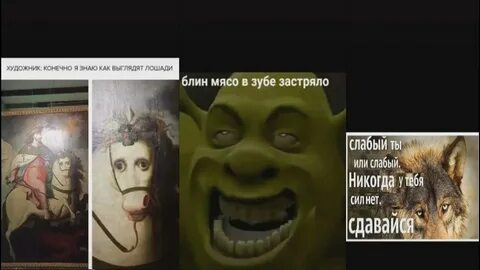 Тик ток мемы новые