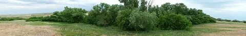 Погода новогеоргиевка приморский край октябрьский