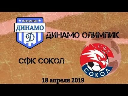 Динамо сокол прогноз