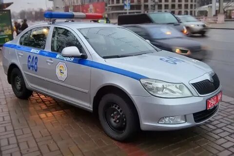 Мир гаи
