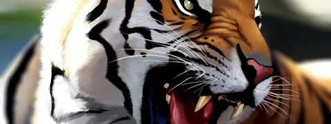 Tiger 8