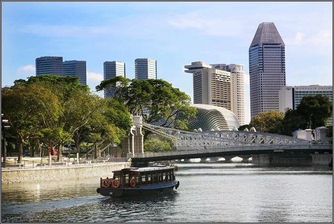 сверхдеревья сингапур. сингапур за 2 дня. Bern kim singapore. день пана в сингапуре. сингапур за 2 дня.