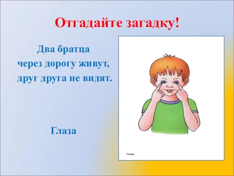 Загадки живут два братца через дорогу. Два братца через дорогу живут а друг друга не видят. Загадка про глаза. Загадка два брата через дорогу живут а друг друга не видят ответ. Загадки два братца