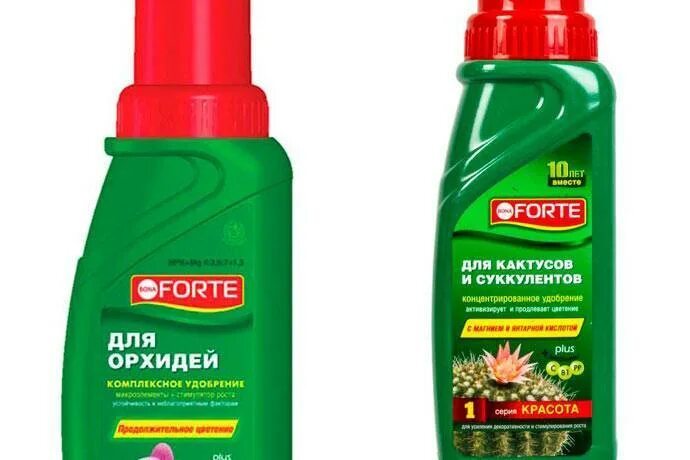 Bona forte. Удобрение для кактусов и суккулентов Forte. Бона форте спрей от клопов. Бона форте порошок.