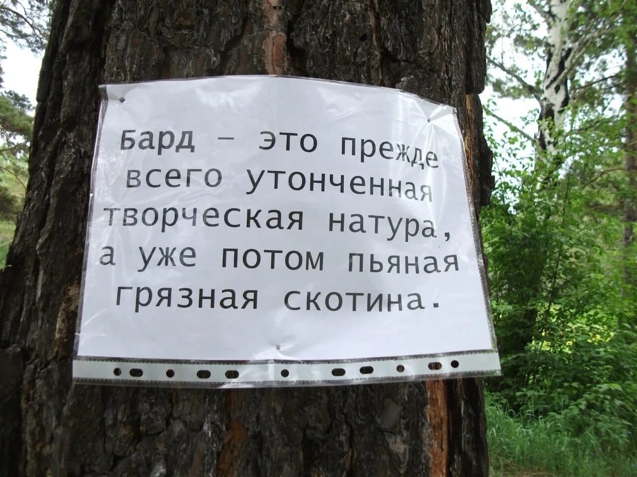 Юмор про бардов. Приколы про бардов. Шутки про бардов. Анекдоты про бардов.