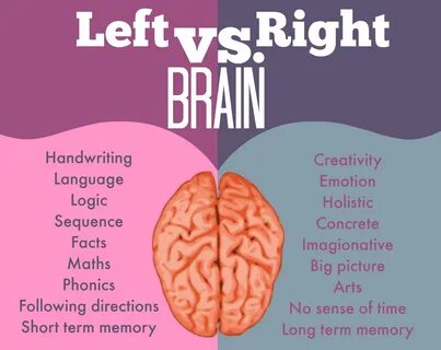 Left brain