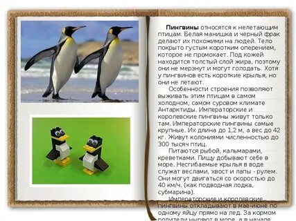 Текст пингвины 3 класс