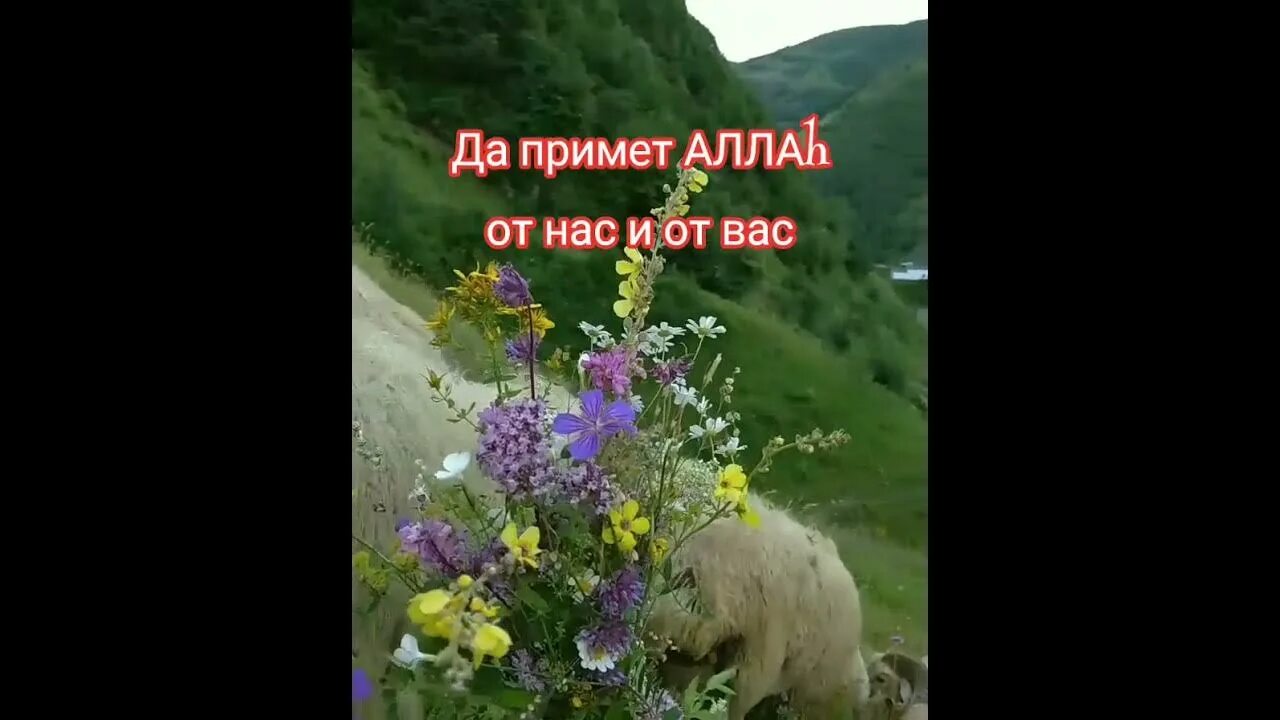 Да примет всевышний