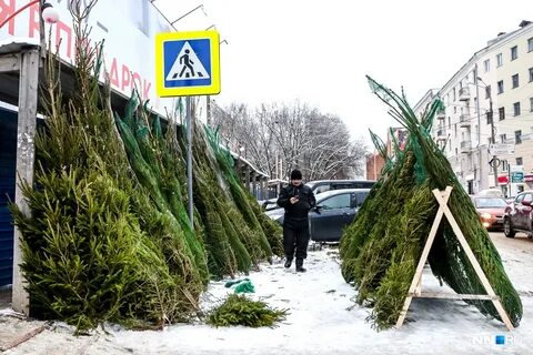 До скольки елочные базары