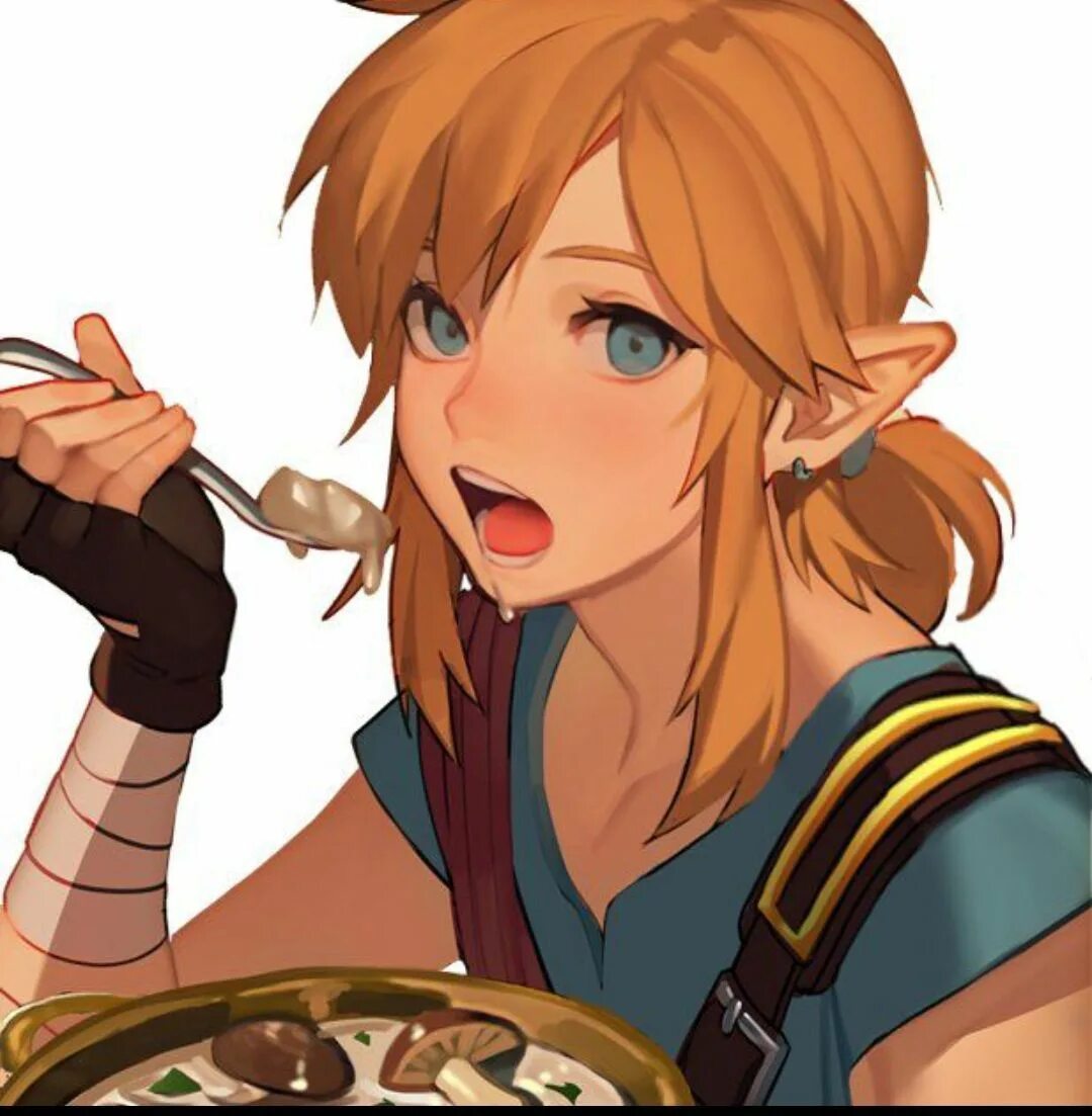 Является линк. Линк зельда. линк арт the legend of zelda. моршу зельда. зельда линк 2д.