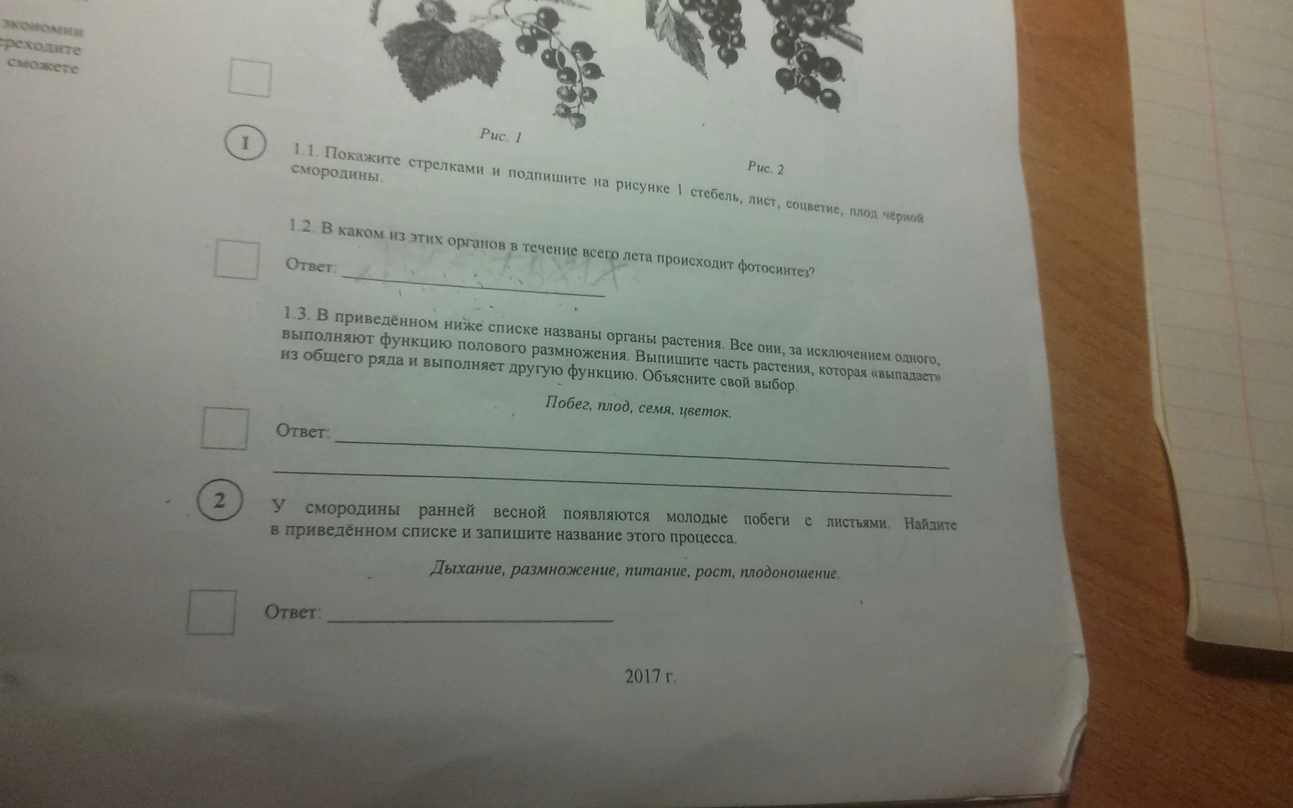 Как человеку прожить жизнь впр. У смородины весной появляются соцветия. У смородины весной появляются соцветия название этого процесса. У смородины ранней весной появляются молодые стебли с листьями. У смородины появляются соцветия как называется этот процесс.