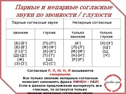 Лыжи л мягкая или твердая