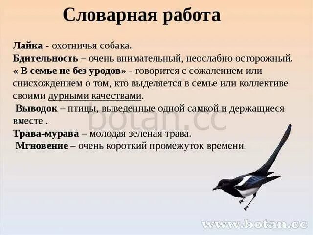 Мысль произведения выскочка. Характеристика героя произведения выскочка пришвин. Выскочка пришвин 4 класс. Выскочка рассказ. Выскочка пришвин презентация.