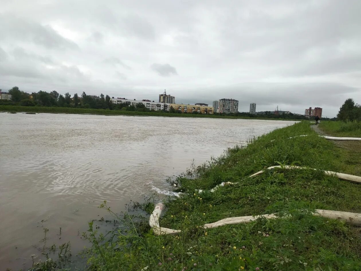 Дамба уссурийск. Дамба уссурийск. Дамба уссурийск. Охрана окружающей среды приморского края. Дамба уссурийск.