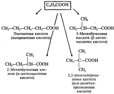 Два изомера бутановой кислоты