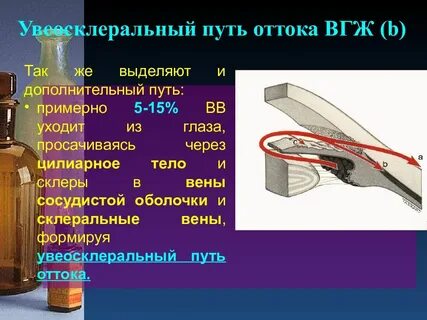 Путь жидкости
