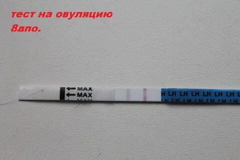 Что покажет тест на овуляцию при беременности