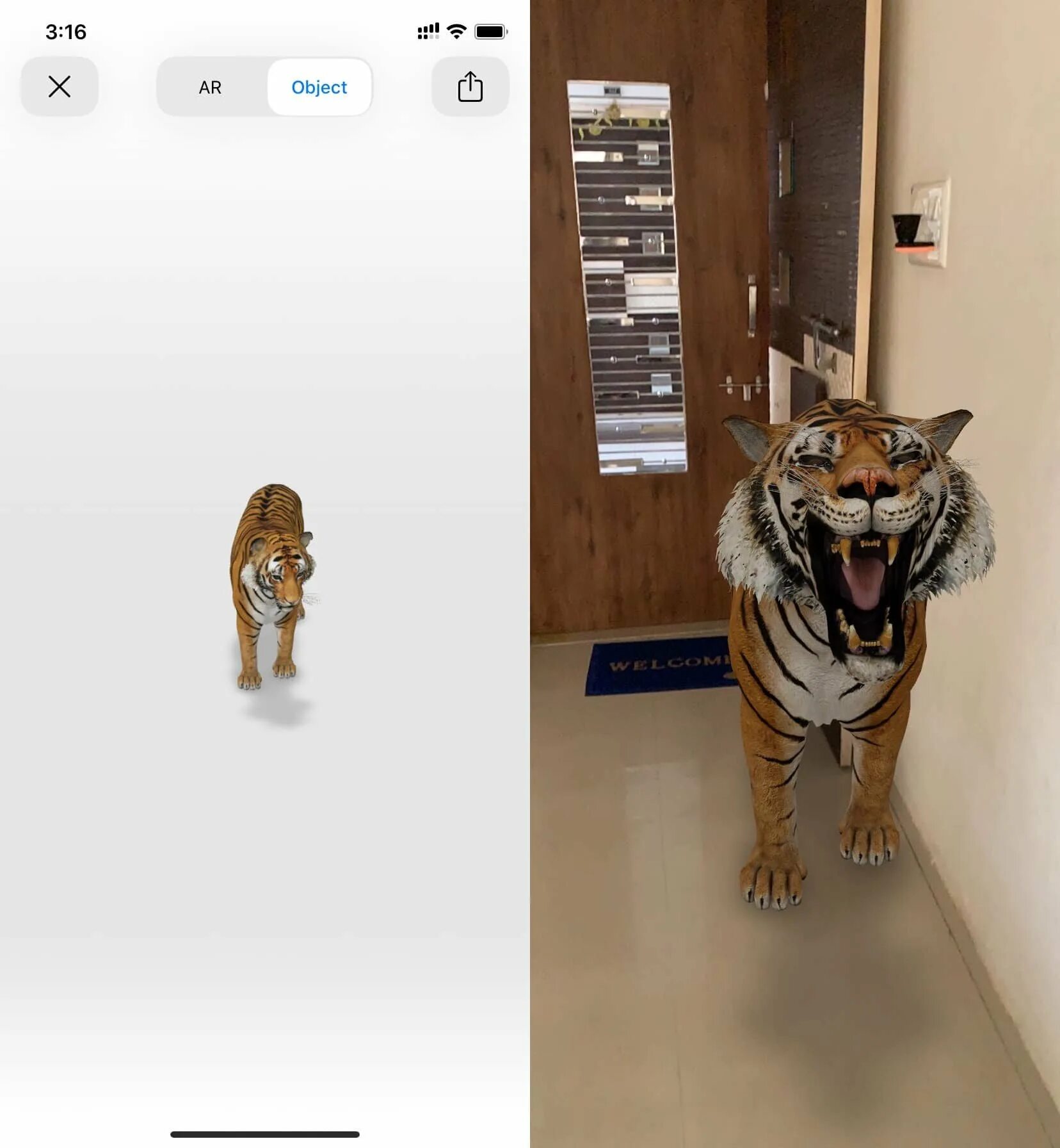 Животные в реальности. Тигр дополненная реальность. Тигр 3д через камеру. Зд животные. Гугл животные в 3д тигр.