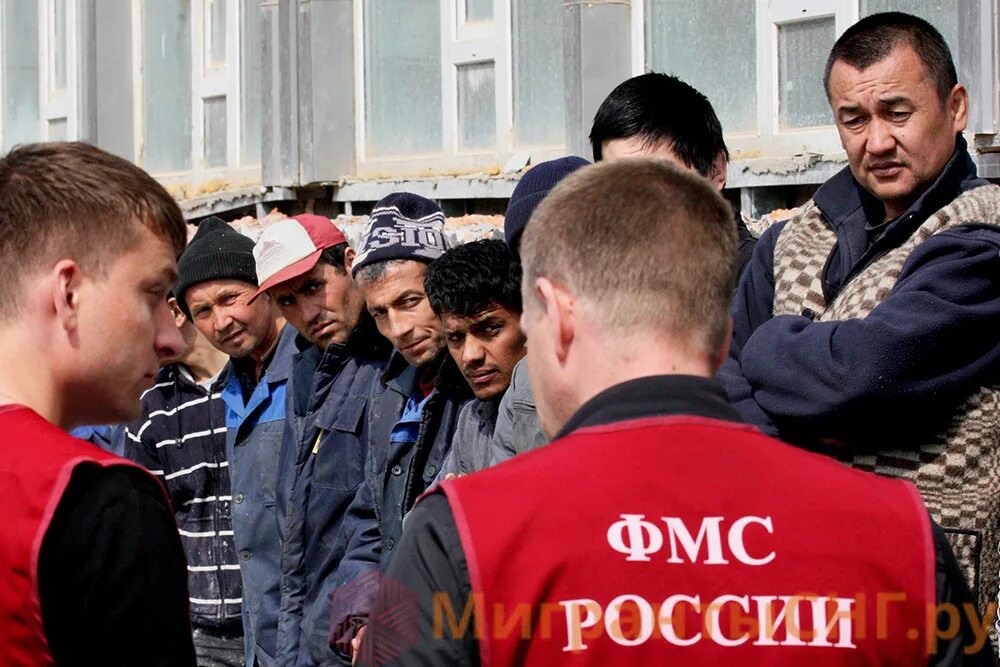 Куда сообщить о нелегальных мигрантах. Николай суд депортировали. Миграция пути решения проблемы. Куда сообщить о нелегальных мигрантах. Мвд мигранты незаконных мигрантов.