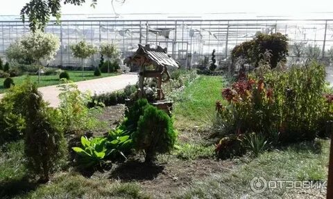 Сады кореновске