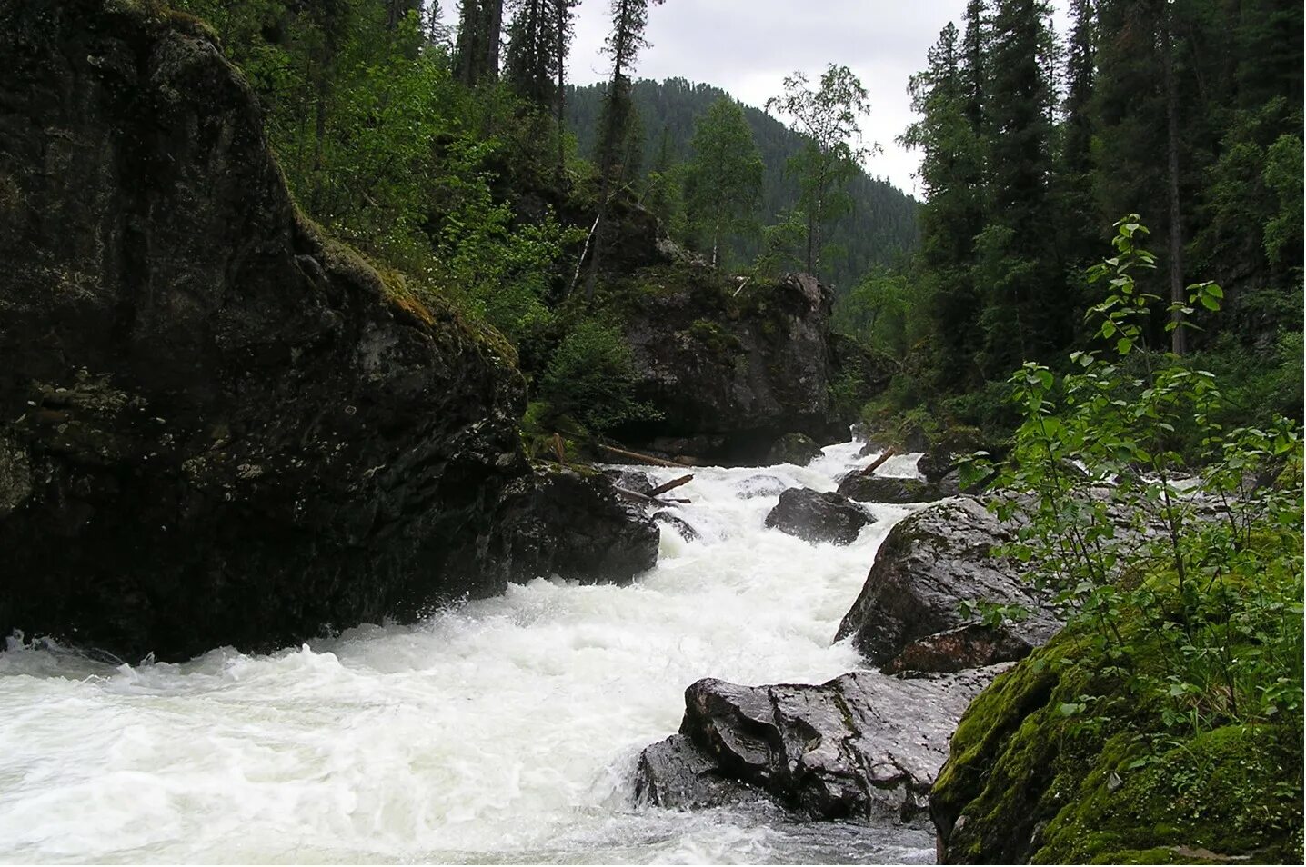 Участки пороги. Река пыжа горный Алтай. Пыжа (приток бии). Водопад Атуркол. Усть пыжа Республика Алтай.