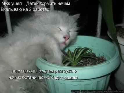 Кормить нечем