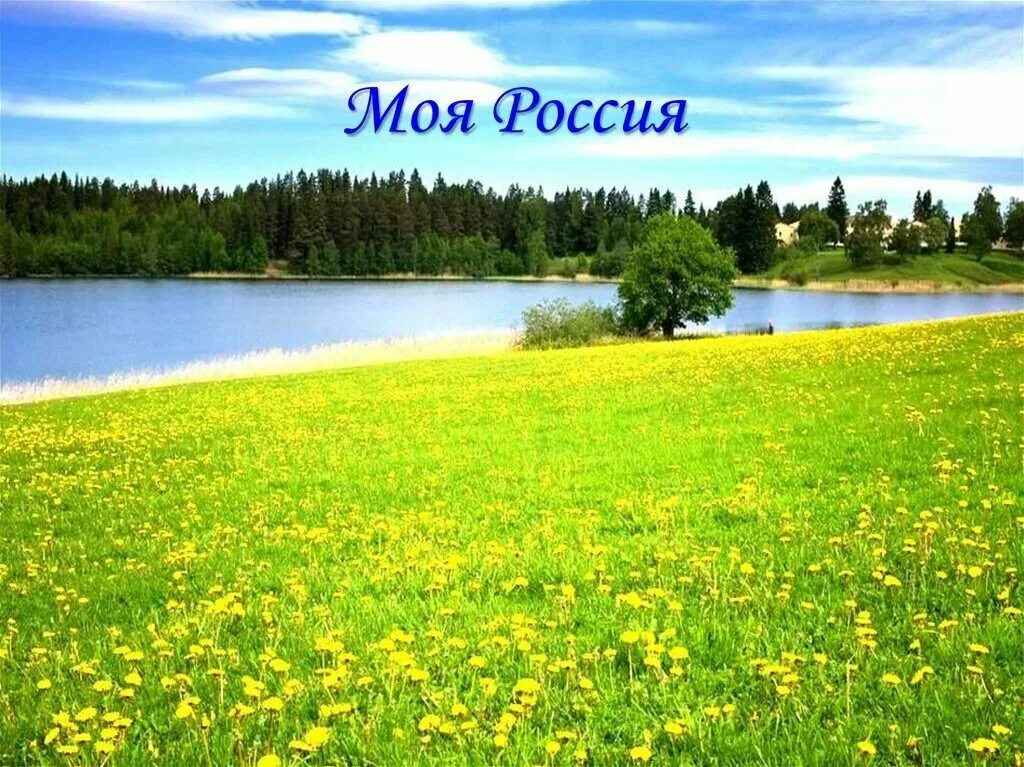 Моя Россия. Россия - моя Родина. Россия Родина моя природа. Z V Россия.