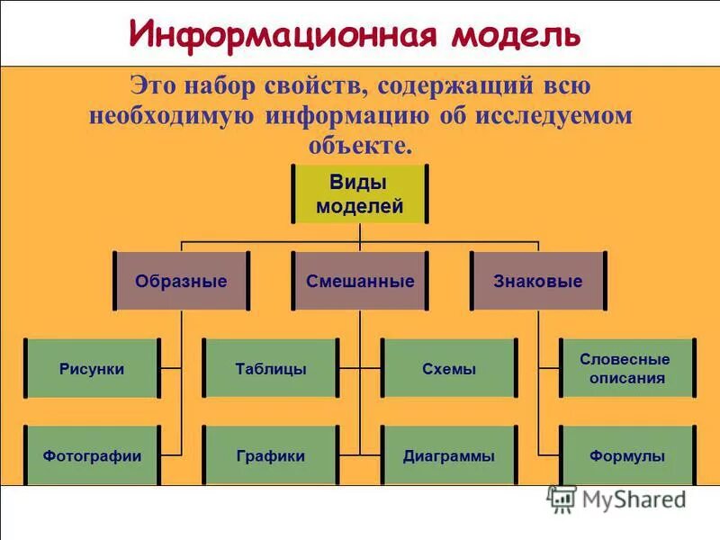 Человек информационная модель