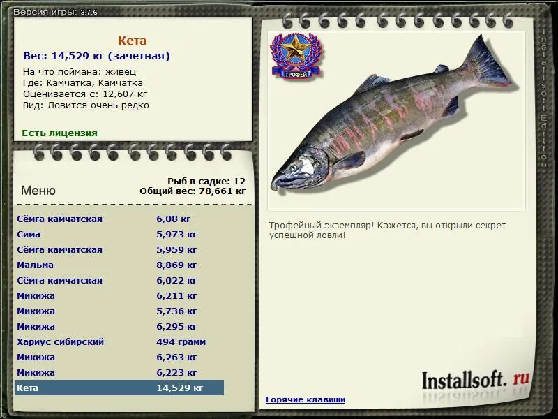 на что ловить кету. рыба в консервах. кета филе ломтики. моремания копченая рыба. кета коды.