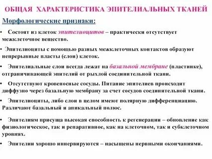 Какие типы тканей присущи человеку