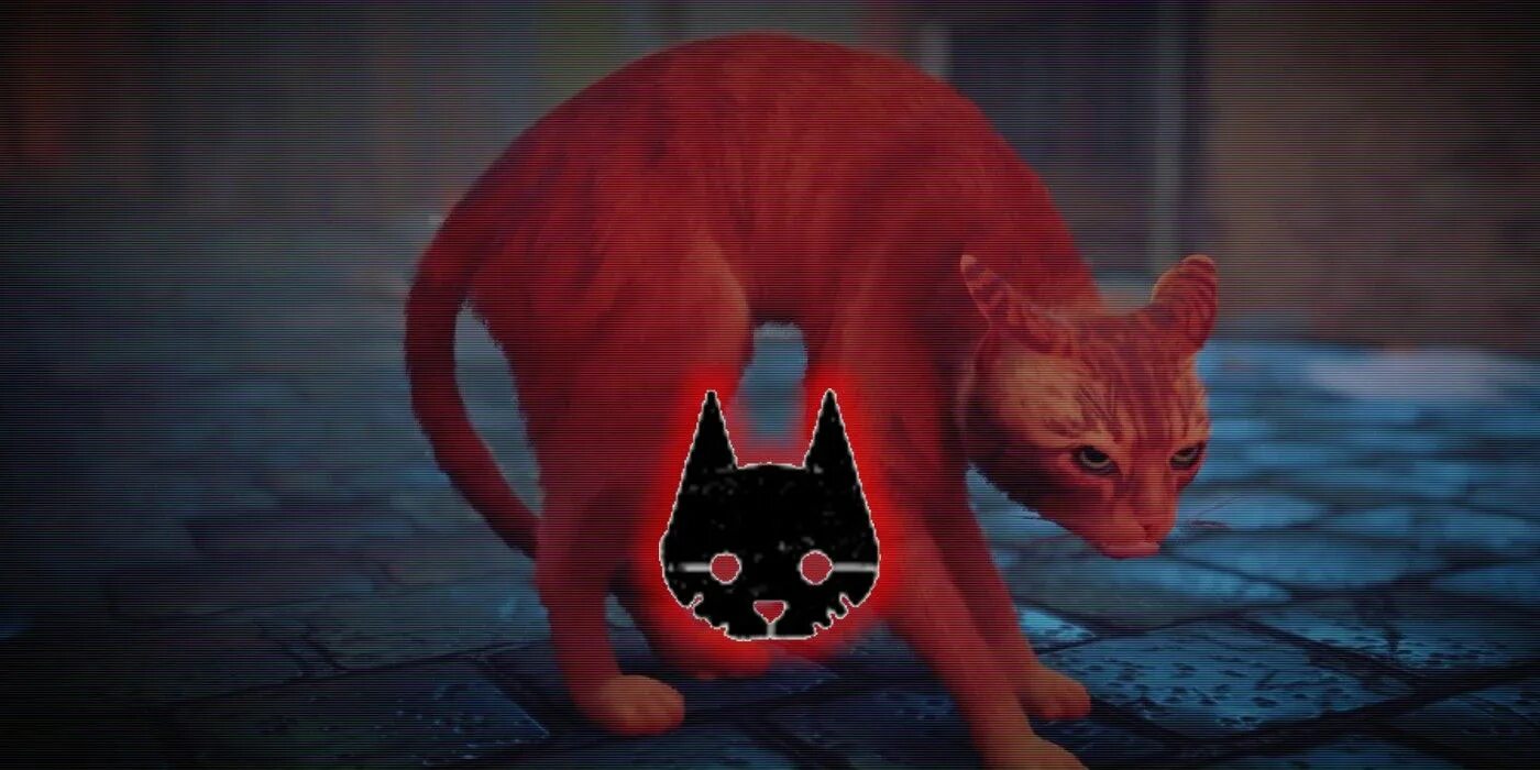 Red cat играет в игру. Кот киберпанк. Stray Cat игра. Кот из игры Stray. Котик из СТРЕЙ.