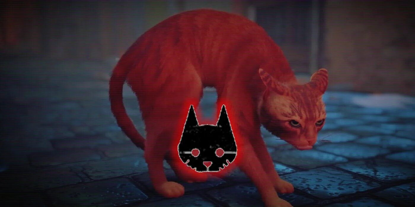 Где red cat играет. Кот киберпанк. stray cat игра. кот из игры stray. котик из стрей.