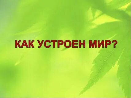 Как устроен мир урок 1 тема природа