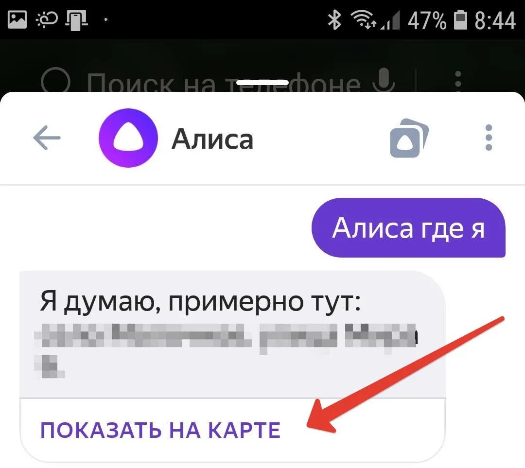 Алиса где начинается