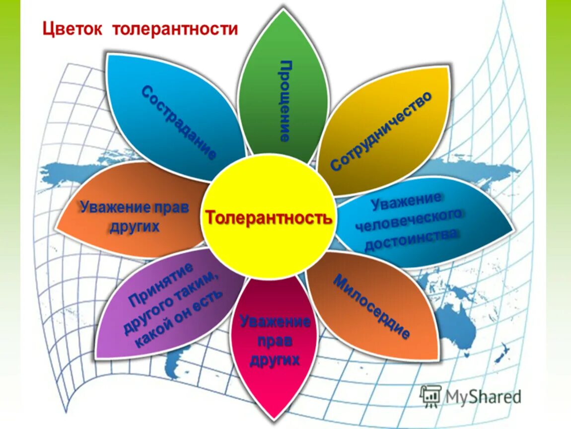 Мастер класс классный час. Цветок толерантности. День толерантности. Лепестки толерантности. Урок толерантности.