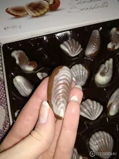 Ракушка отзывы