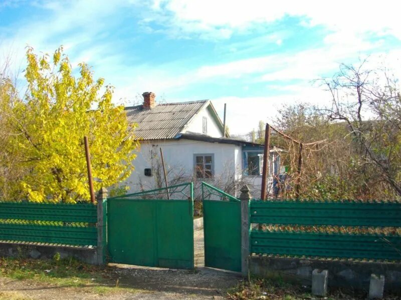Поле пшеницы. Поле пшеницы кубань. Село золотое поле крым. Поворот на золотое поле. Озеро золотое поле крым.
