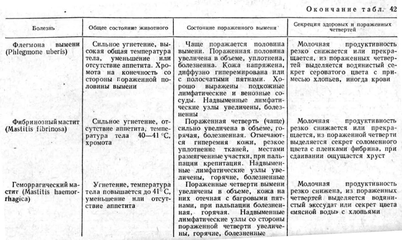 Мастит по студенцову. Клинические формы мастита у крс. схема лечения мастита. маститы у коров классификация. классификация маститов крс.