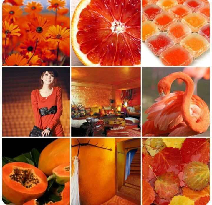 Рыжая красавица. Оранжевый день 5 сентября. Оранжевый цвет. Живи оранжево. Оранжевое настроение.